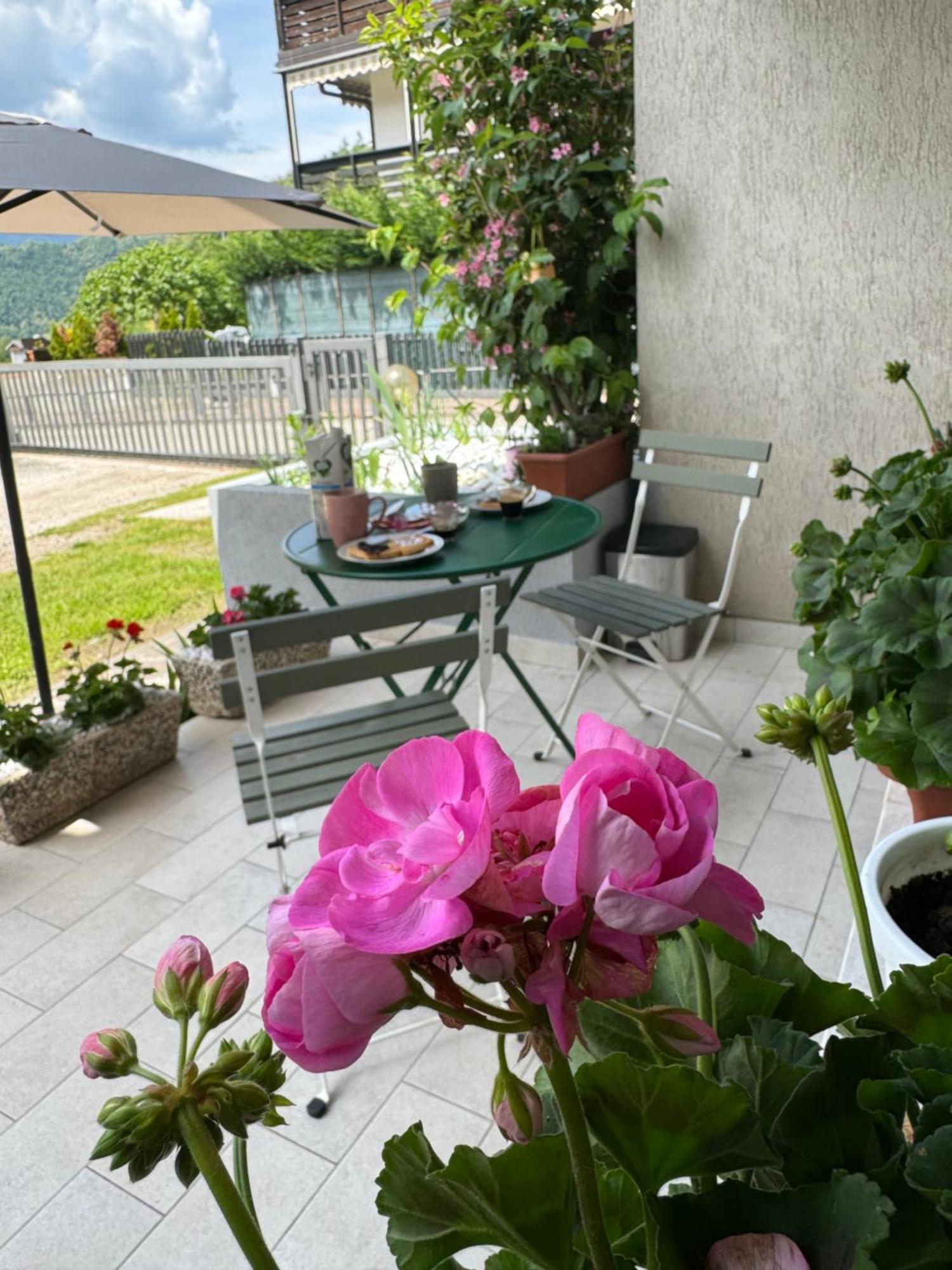 Green House Next - Lovely Apartment For Family And Free Parking เลวิโกแตร์เม ภายนอก รูปภาพ